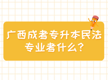 广西成考专升本民法专业考什么