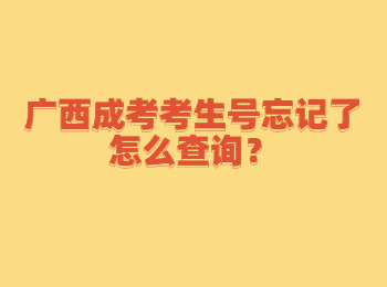 广西成考考生号忘记了怎么查询？