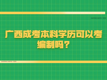 广西成考本科学历可以考编制吗?