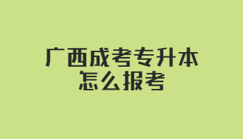 广西成考专升本怎么报考