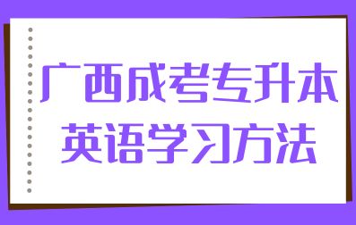 广西成人高考专升本英语0基础该如何学？